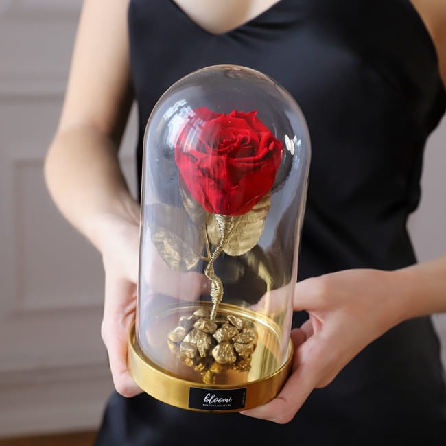 Wieczna róża w szklanej kopułce