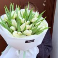 biale-tulipany-premium-dostawa-bydgoszcz-bloomi_ 1080x1080.jpeg
