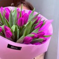 tulipany-fuksja-dostawa-bydgoszcz_ 1080x1080.jpeg