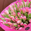 tulipany-rozowe-dostawa-2h-ekspresowa-bloomi-bydgoszcz_ 1080x1080.jpeg