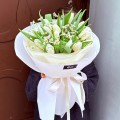 tulipany-rumianek-kwiaty-fordon-bydgoszcz_ 1080x1080.jpeg