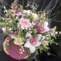 KRÓLOWA KWIATÓW Welurowy flowerbox  L