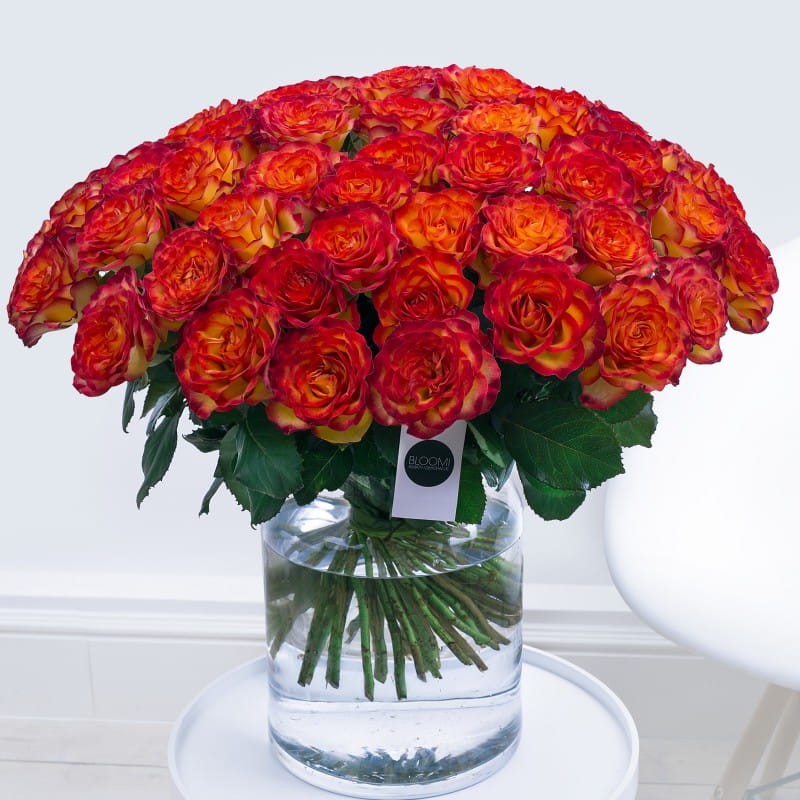 bukiet 60 róż PREMIUM o dużym pąku