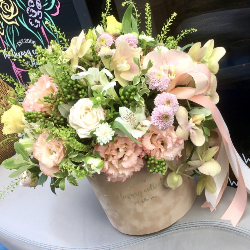 MUS MORELOWY Welurowy flower box L