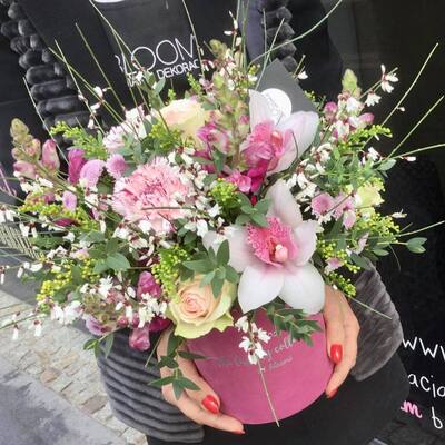 Flower box z różowym storczykiem