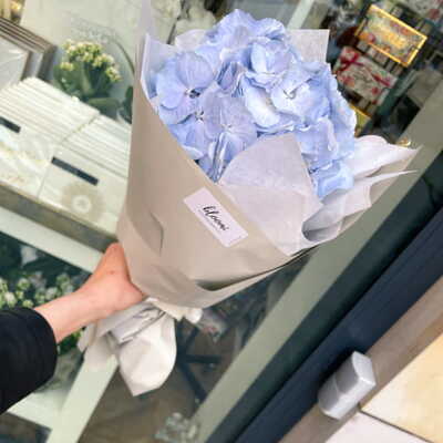 Bukiet błękitnej hortensji