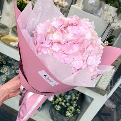 Bukiet różowej hortensji